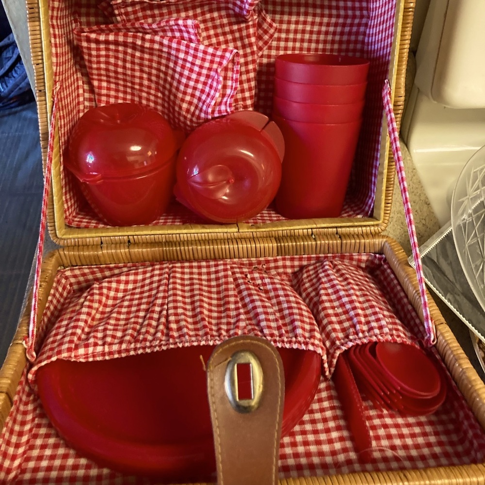 Picnic Basket for 4